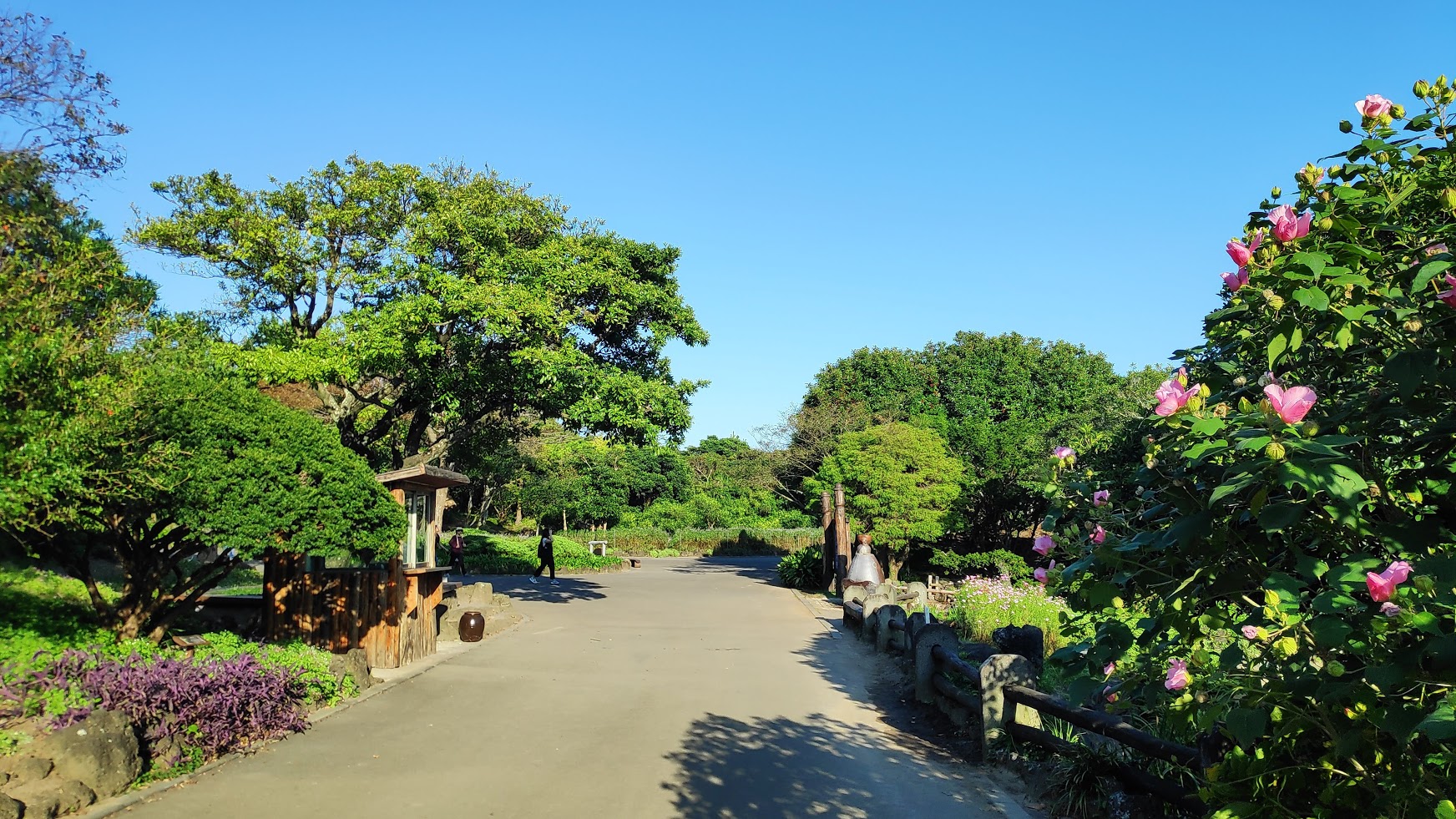 Jeju Park